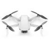 dji.mavic_.mini_-1